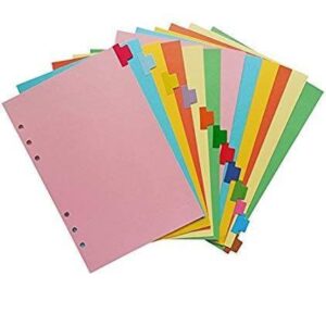 RENO KARTON INDEX DIVIDER 31-TABS COLOUR PF-31 R