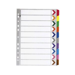BINDERMAX PVC 10-TABS T100