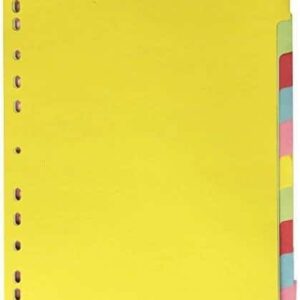 LION KARTON DIVIDER 10-TABS