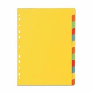 LION KARTON DIVIDER 12-TABS