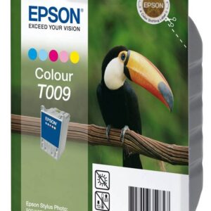 EPSON INK CARTRIDGE T009 COLOUR