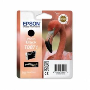 EPSON INK CARTRIDGE T0871 PHOTO BLACK